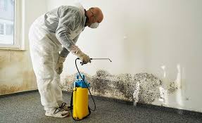 Biohazard Mold Removal in Ontario, CA